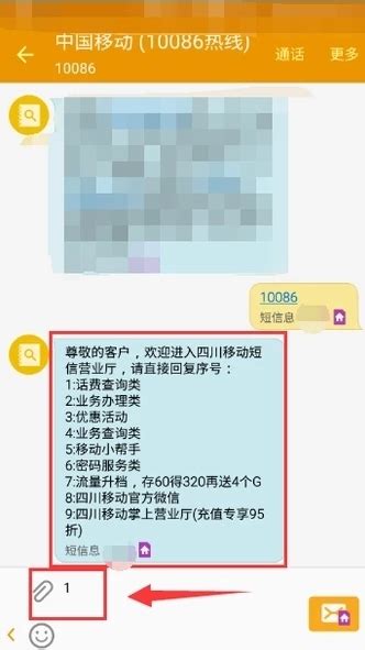 如何用手机短信查询中国移动话费？ 3