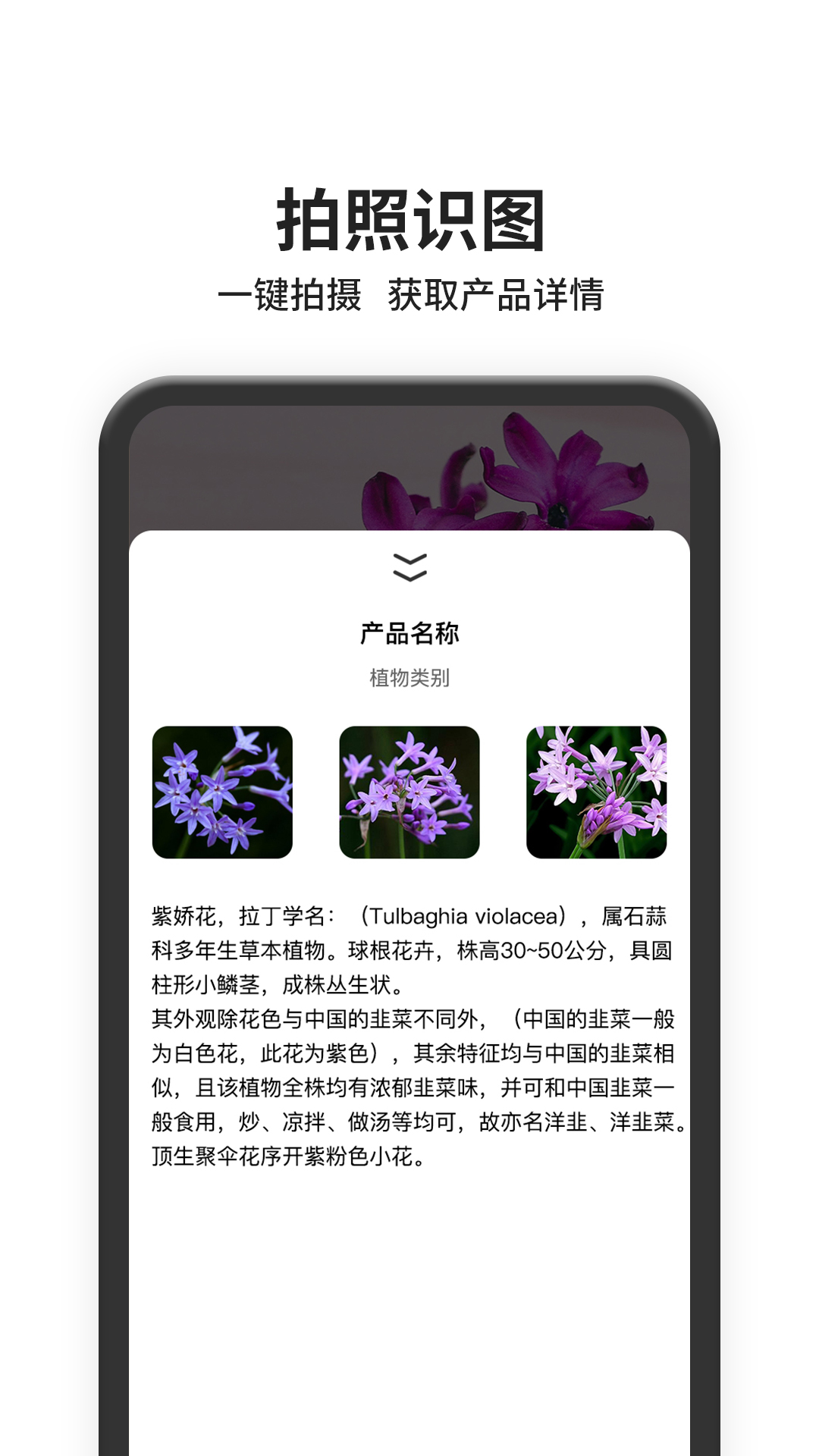 图片搜索APP