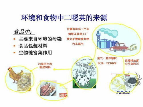 如何有效预防并控制日常生活中对二噁英的接触？ 3