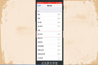 如何更改苹果手机字体设置 2