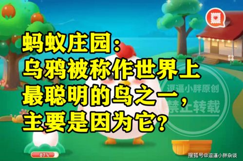 揭秘：乌鸦为何被誉为世界上最聪明的鸟类？蚂蚁庄园告诉你答案！ 2