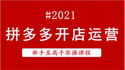 拼多多个人店铺创业秘籍：从零到一，轻松开启你的电商之旅 1