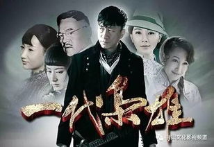 怎样快速下载并观看电视剧《一代枭雄》？ 4