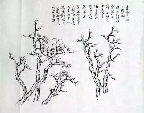 一问一答揭秘：如何轻松掌握画柳树的简易技巧？ 1