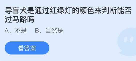 揭秘：导盲犬如何辨识红绿灯，安全引领主人穿越马路？蚂蚁庄园揭秘真相 2