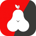 雪梨pear最新版