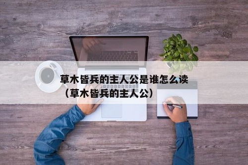 草木皆兵故事的主人公是谁 2