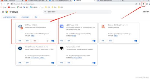 Chrome浏览器高效安装与使用技巧 2