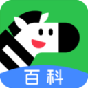 斑马百科app官方