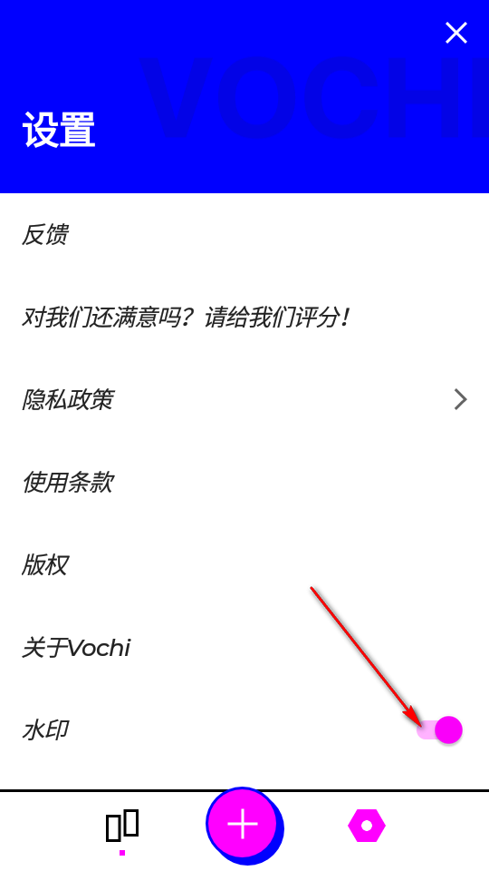 vochi版 3