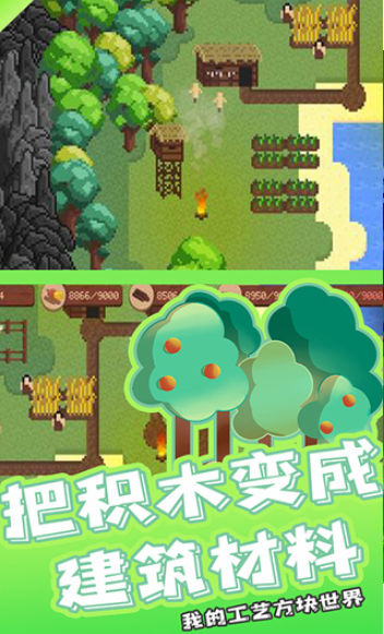 我的工艺方块世界手游