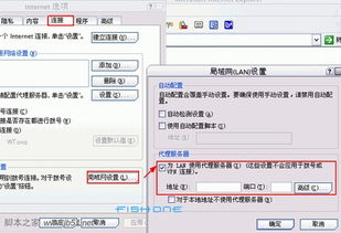 轻松掌握：设置IE浏览器代理的详细步骤 4