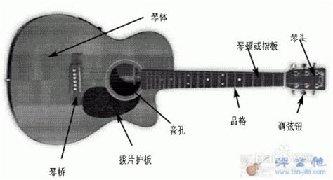 吉他新手必看：全面解析吉他构造、琴弦命名及左右手正确手型 1