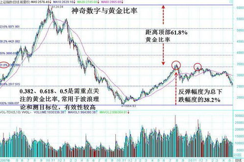 如何精确计算并应用黄金比例 2