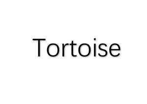 揭秘！'Tortoise'这个单词的真正含义是什么？ 1