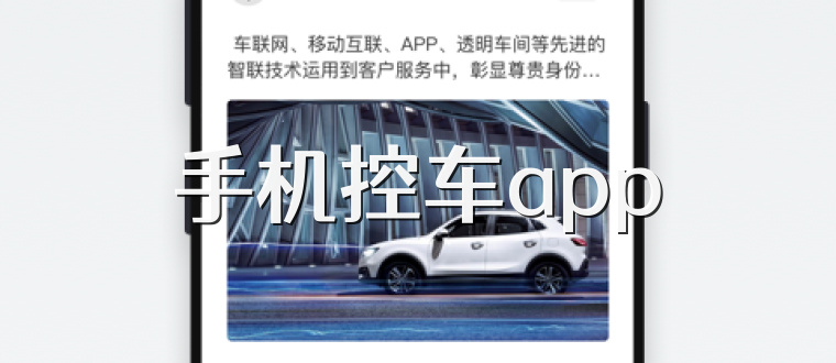 手机控车app
