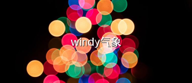 windy气象