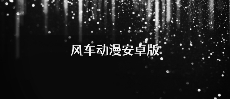 风车动漫安卓版