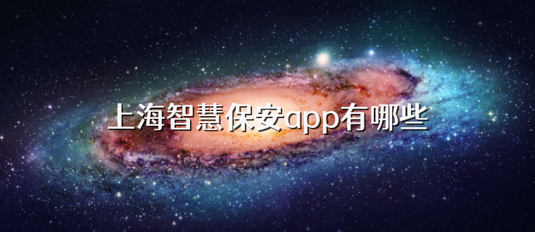 上海智慧保安app有哪些