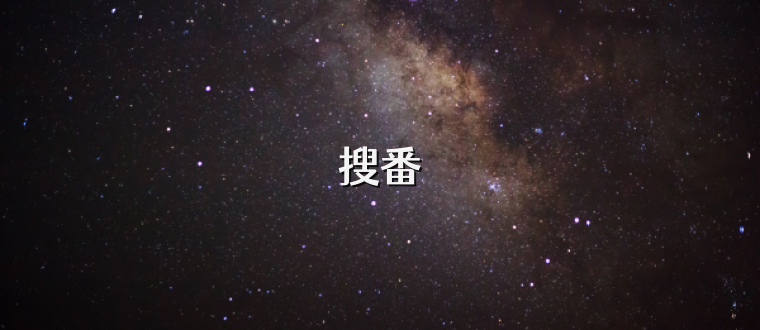 搜番