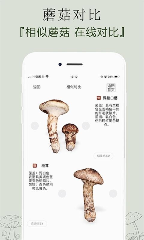 菌窝子app