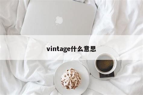 揭秘'Vintage'：复古风潮背后的魅力与意义何在？ 2