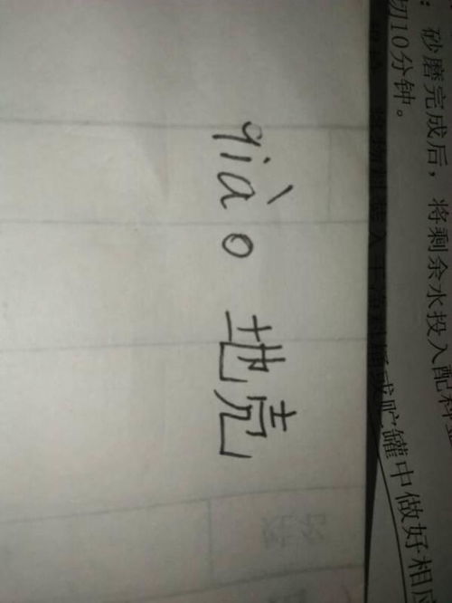 揭秘'爪'字的奇妙变奏：一字多音，你了解多少？ 2