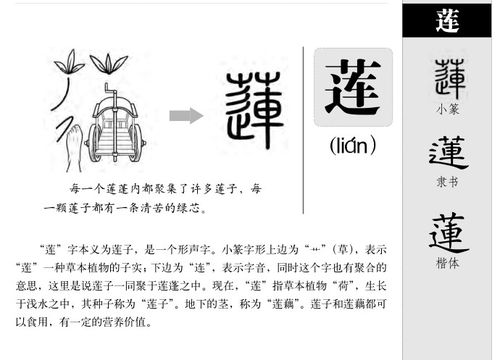 揭秘！'伦'字取名背后的深刻寓意，你了解多少？ 2