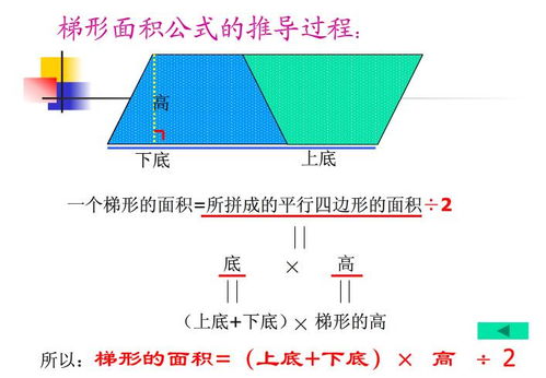 揭秘梯形面积的计算奥秘 3