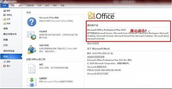 官方正版Office 2010激活指南 1