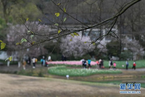 探寻杭州太子湾公园：轻松预约门票全攻略 2