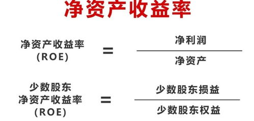 揭秘！净资产收益率计算公式大公开，轻松掌握财务核心指标 4