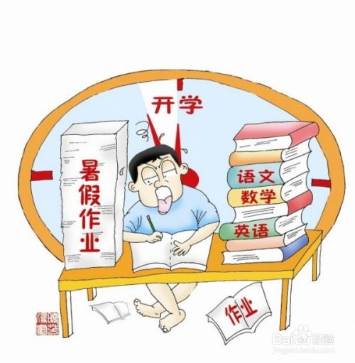 作业没做完该怎么办？ 1