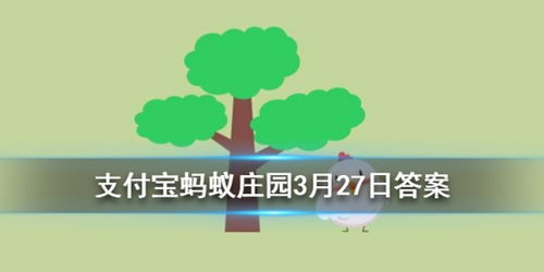 动物如何预示即将下雨？ 4