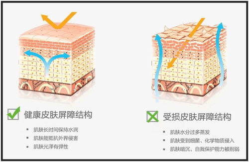 屏障的含义及解释 1