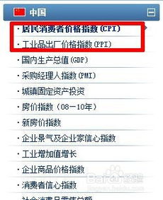 轻松掌握！各月CPI与PPI指数查询全攻略 1