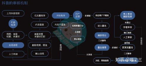抖音账号流量检测全攻略 3