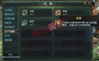 星辰变炼药：全面解锁炼制药剂的终极秘籍 3