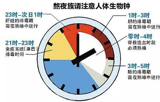 揭秘！2020年寅时具体是几点到几点？你一定不知道的时间秘密！ 1