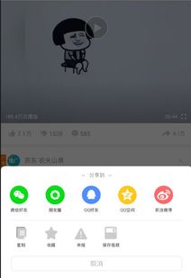 视频中的PV具体指什么含义？ 2