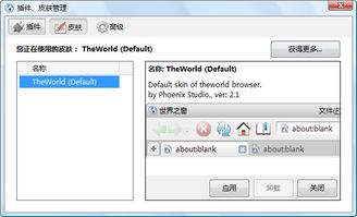 打造个性化世界之窗浏览器皮肤，轻松DIY！