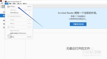 轻松解锁PDF秘密：多款软件助你打开PDF文件 2