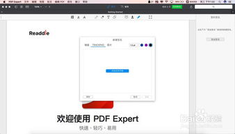 请问'expert'这个词是什么意思？ 3