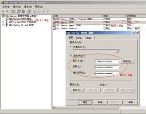 SQL Server 2005如何安装？ 1