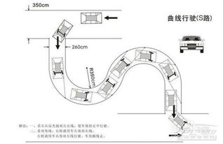 掌握驾考S弯道秘诀，轻松通关不在话下 3