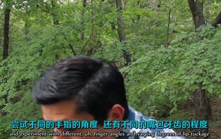 快速学会吹口哨的方法与技巧 1