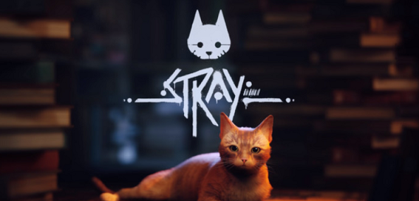 stray猫咪