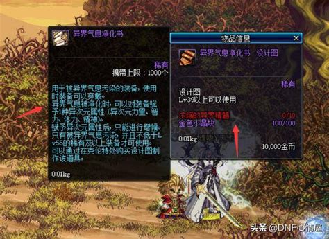 DNF异界气息：净化与清除的全面攻略 3