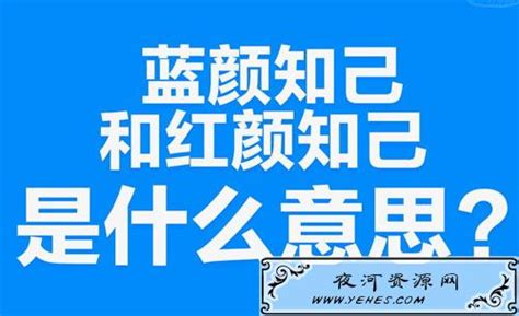 蓝颜与红颜：差异何在 4