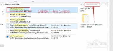 Win10/Win7用户必看：轻松屏蔽优酷视频广告的技巧 4